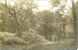 78 SAINT LEGER EN YVELINES CARTE PHOTO EN REVENANT DE LA BUTTE A L ANE - St. Leger En Yvelines