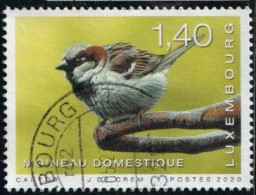 Luxembourg 2020 Yv. N°2168 - Moineau Domestique - Oblitéré - Used Stamps
