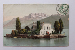 SUISSE 1907 CPA   Île De  Salagnon Et Dent Du Midi Circulée - Agno