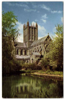 Wells - The Cathedral And Swan Pool - Wells