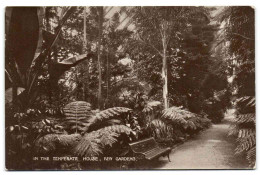 Kew Gardens - In The Temperate House - London Suburbs