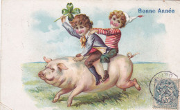 Cpa- Ani- Cochon - Enfants A Cheval Sur Un Cochon , Trefle A 4 Feuilles - Cartes Humoristiques