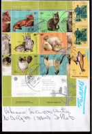 Argentina - 2005/07/08 - 4 Philatelic Envelope - Cats - Diverse Stamps - Lettres & Documents