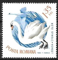 Rumania - MNH ** 1965 :     Mute Swan  -  Cygnus Olor - Zwanen