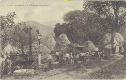 TB Agriculture – Scènes Champêtres – La Batteuse Mécanique (postée De Seyras Ardèche) - Sonstige & Ohne Zuordnung