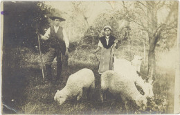 LD Agriculture – Carte-photo Berger/bergère Avec Moutons - Elevage