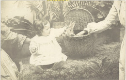 TB Animaux – Carte-photo Fillette & Lapin Dans Panier - Autres & Non Classés