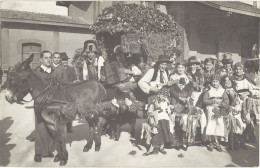 TB Carte-photo – Corso, Attelage, Groupe De « bohémiens » - Autres & Non Classés