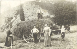 B Carte-photo – Rentrée Des Foins, Sud De La France ? - Sonstige & Ohne Zuordnung