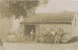 TB 10 (?) – Carte-photo Tonneaux Vins  Chablis / Bourgogne - Sonstige & Ohne Zuordnung