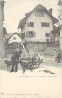 B Suisse – Luzerner Milchmann ( Attelage Chiens ) - Lucerne