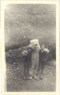 TB Photo Enfants & «  Ours Blanc «  - Personnes Anonymes