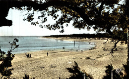 GARANCIERES-en-DROUAIS/28 /L'eglise - Noirmoutier