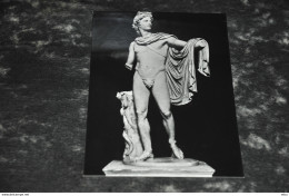 A6021    CITTA ' DEL VATICANO - Museo Di Scultura Apollo Del Belvedere - Vatican