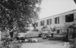 Montfaucon Sur Moine * Vue Sur La Maison De Repos - Montfaucon