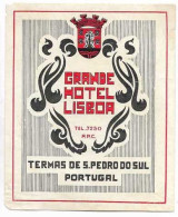 Portugal Etiquette Valise Grande Hotel Lisboa Termas De São Pedro Do Sul Luggage Label - Etiquetas De Hotel