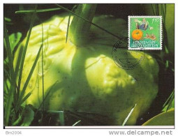 1997 Liechtenstein Maxicard Nr. 147 Europa: Sagen Und Legenden. - 1997