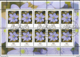 2005  Deutschland Germany  Mi. 2485 FD-used  Blumen : Leberblümchen. - 2001-2010