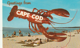 Greetings From Cape Cod, Massachusetts - Cape Cod