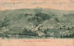 Panorama Von Ebnat Kappel 1900 - Ebnat-Kappel