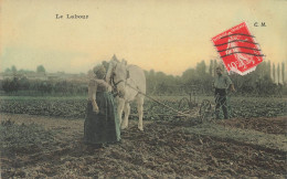 Agriculture * Le Labour * Labourage De Champ * Attelage Cheval * Fermiers Paysans - Culture