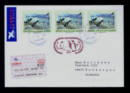 Gc8079 CHILE "Antartic Base President Eduardo Frei Montalva" Pinguins Faune Maritime Mailed 1999 Punta Arenas »Badbergen - Pingouins & Manchots