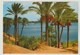 AK Assuan Asswan Beautiful View Of The Nile. Gelaufen 1997, 3 Scans - Assouan