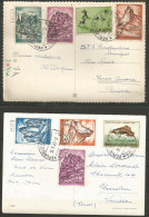 2 Cartes P & 8 Timbres 1962 ( San-Marino ) - Storia Postale