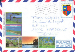 NOUVELLE CALEDONIE SEUL SUR LETTRE AVION POUR LA FRANCE 1989 - Lettres & Documents