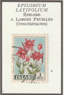 ISLANDE - Fleurs, Flowers, épilobe à Larges Feuilles - Y&T N° 281 - 1958 - Oblitéré - Oblitérés