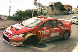 Peugeot 307 WRC -  Rallye Monte-Carlo 2005  - Pilote: Marcus Gronholm - Sur Trois Roues! -  15x10cms PHOTO - Rallyes