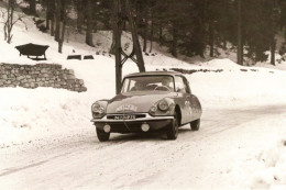 Citroen ID 19 -  Rallye Monte-Carlo 1959 - Pilote: Paul Coltelloni -  15x10cms PHOTO - Rallyes