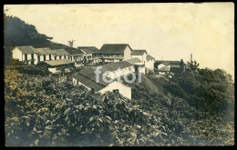 REAL PHOTO POSTCARD ROÇA BINDA ILHA SAO TOME AFRICA AFRIQUE CARTE POSTALE - Mozambique