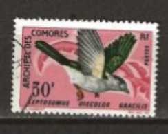 Archipel Des Comores    N° YT 44 Oblitéré  Oiseau  1967 - Oblitérés