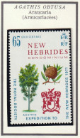 NOUVELLES HEBRIDES (Condomimium) - Araucaria, Royal Society - Y&T N° 312 - MNH - Neufs