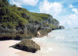 4 AK Henderson Island - Die Insel Gehört Zu Den Pitcairn Islands Und Ist Seit 1988 UNESCO Weltnaturerbe * - Islas Pitcairn