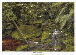 2 AK Neuseeland * Oparara-Basin - Ein Becken Nördlich Von Karamea In Der Region West Coast Auf Der Südinsel * - Nouvelle-Zélande