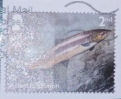 2023 Michel Nr. ? Atlantic Salmon Gestempelt - Non Classificati