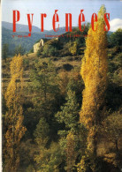 PYRENEEE  N°  165 166   N° 1 & 2  1991 AU PIC DE LA SEDE LA VOIX DU PIEMONT   -  LES PYRENEES   -   PAGE 1  A  151 - Midi-Pyrénées