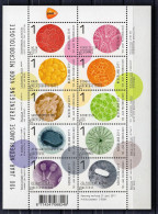 Netherlands Serie 10v 2011 Microbiology Medicin Penicillin Bacteria Virus MNH - Unused Stamps