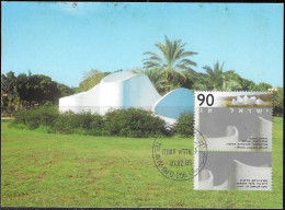 Israel 1995 Maximum Card Serpentine Tel Aviv Itzhak Danziger First Day Cancel Art [ILT1103] - Lettres & Documents