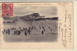 Portugal -postal   Circulado De Santarém Para França  1903 - Santarem