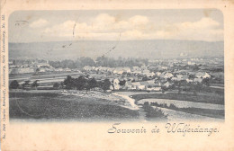 LUXEMBOURG - Souvenir De Walferdange - Circulé En 1900 - Carte Postale Ancienne - - Other & Unclassified