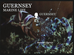 Guernsey 2014 - Mi-Nr. Block 70 ** - MNH - Meerestiere / Marine Life - Guernesey