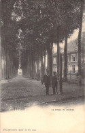 BELGIQUE - Ternath - La Dreve Du Chateau - Nels - Carte Postale Ancienne - - Ternat