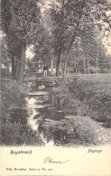 BELGIQUE - Ruysbroeck - Paysage - Nels - Carte Postale Ancienne - - Autres & Non Classés