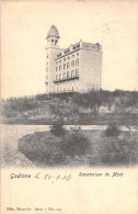 BELGIQUE - Godinne - Sanatorium De Mont - Nels - Carte Postale Ancienne - - Andere & Zonder Classificatie