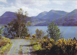 AK 173537 SCOTLAND - Loch Torridon From The Alligin Road - Ross-shire - Ross & Cromarty