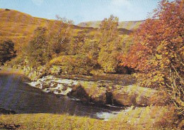 AK 173549 SCOTLAND - The River Orchy In Autumn - Argyllshire