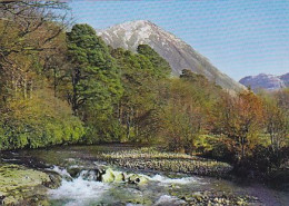 AK 173550 SCOTLAND - The River Coe At Its Lower Reaches - Argyllshire